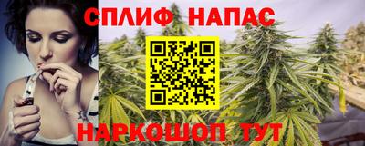 шишки Шелехов