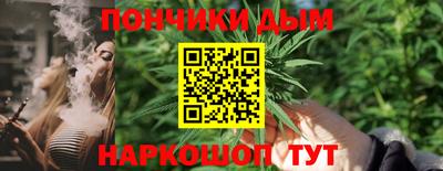 шишки Шелехов