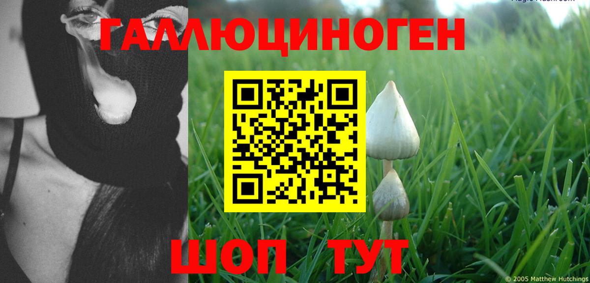 Псилоцибиновые грибы Psilocybine cubensis  Вход с VPN  Братск  Галлюциногенные грибы Magic Shrooms 