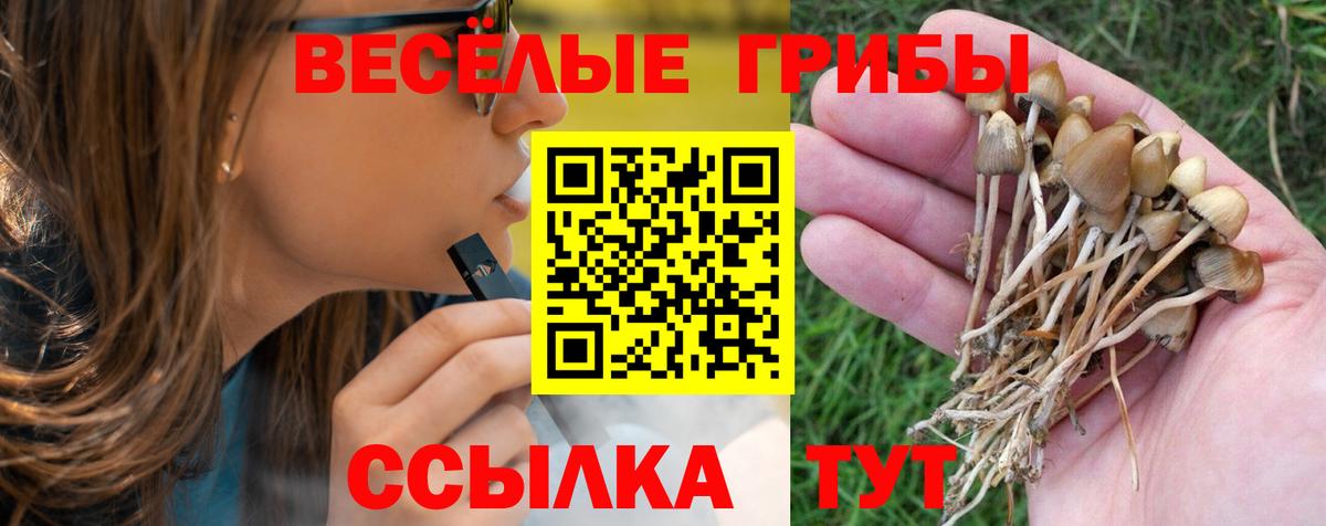 Галлюциногенные грибы GOLDEN TEACHER Братск